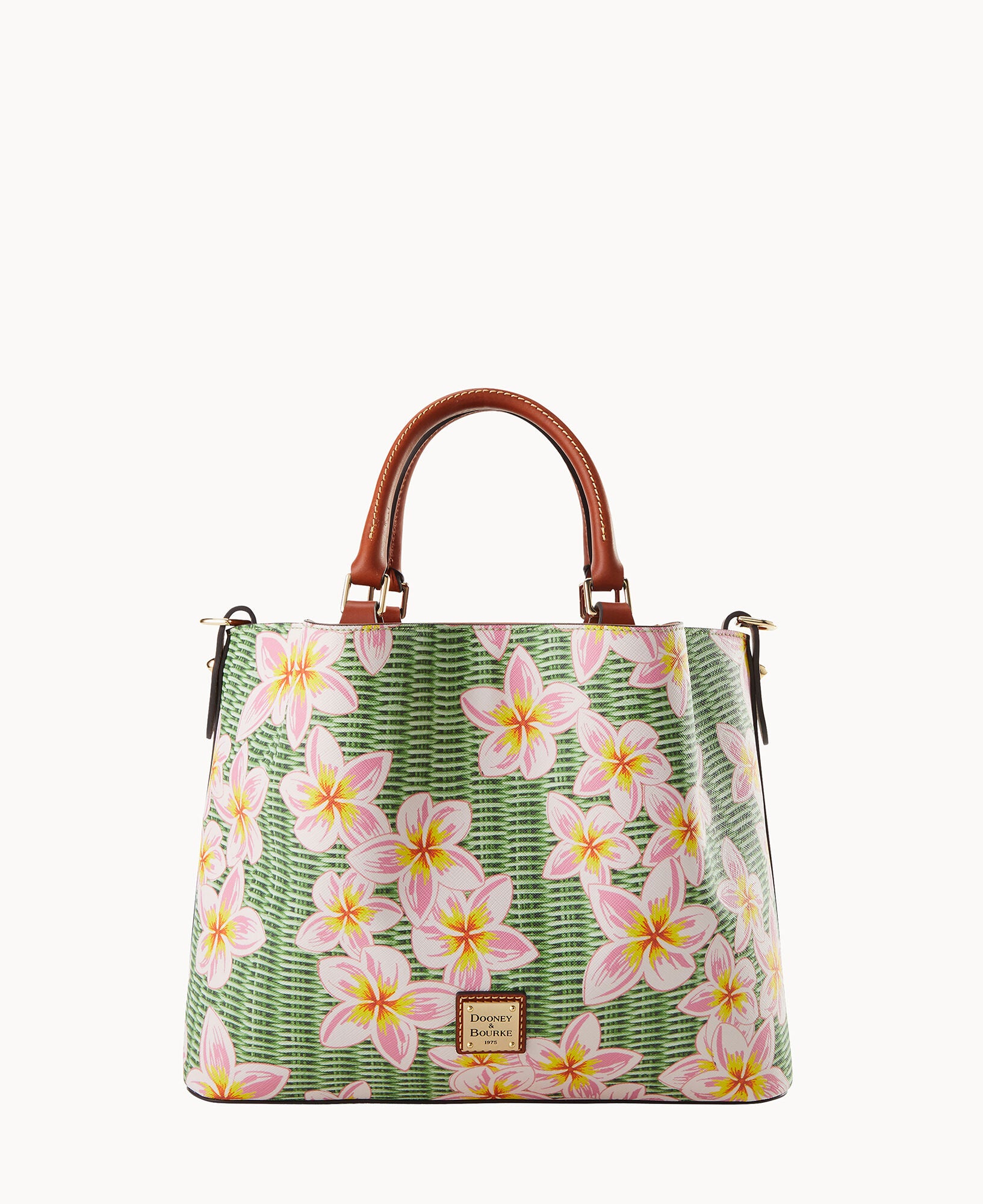 Plumeria Brenna - Image 5