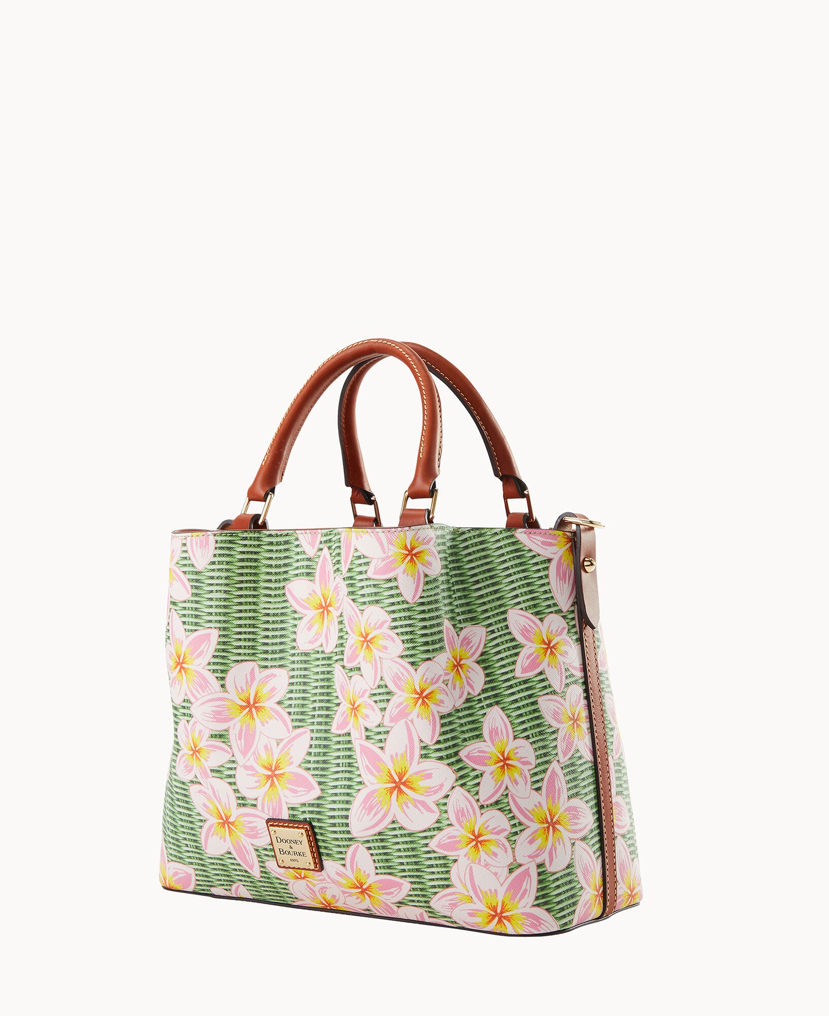 Plumeria Brenna - Image 6