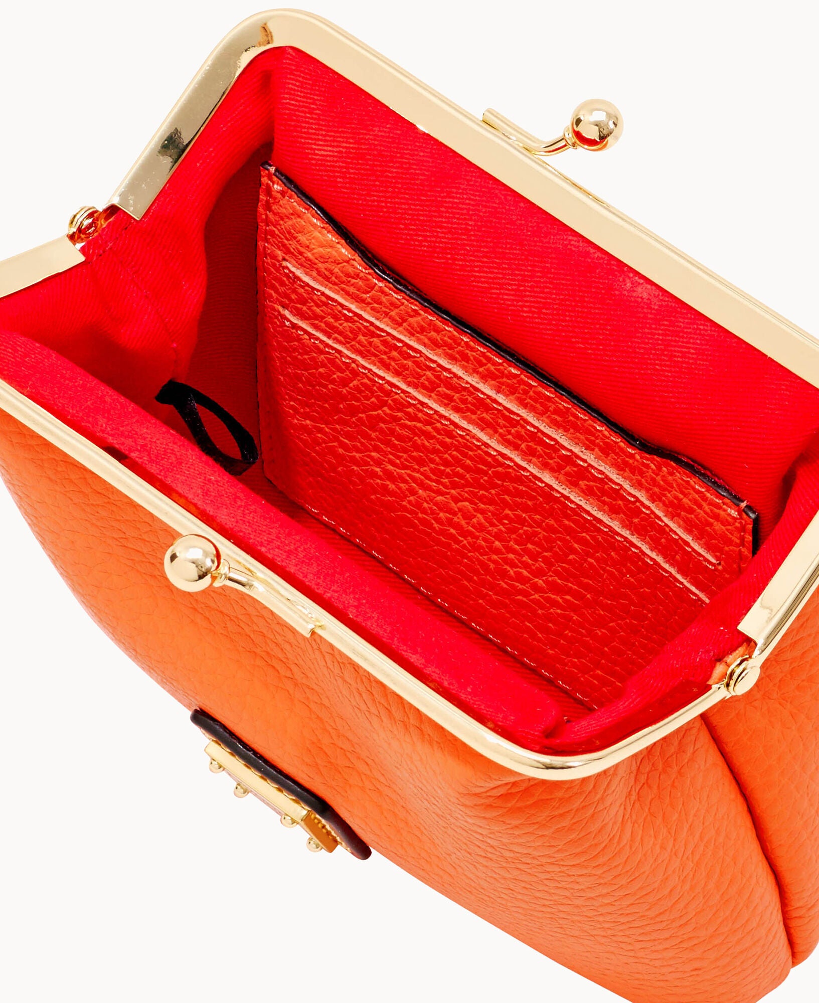 Pebble Grain Large Framed Purse - Image 15